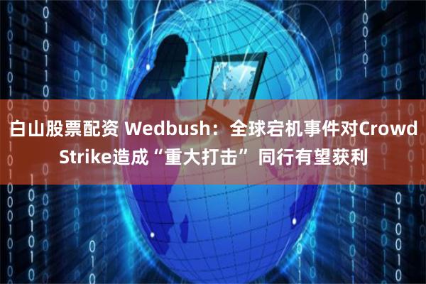 白山股票配资 Wedbush：全球宕机事件对CrowdStrike造成“重大打击” 同行有望获利