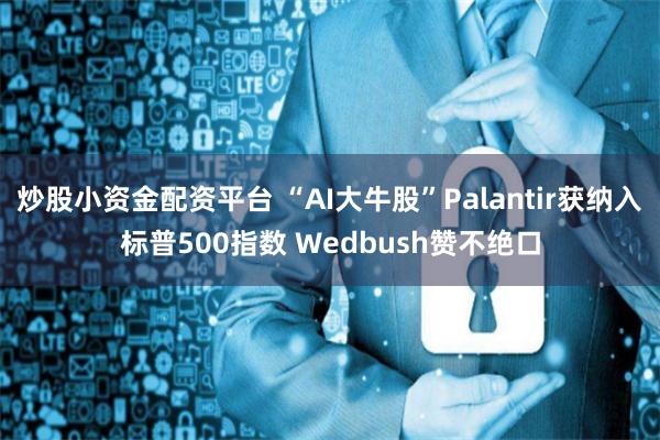 炒股小资金配资平台 “AI大牛股”Palantir获纳入标普500指数 Wedbush赞不绝口