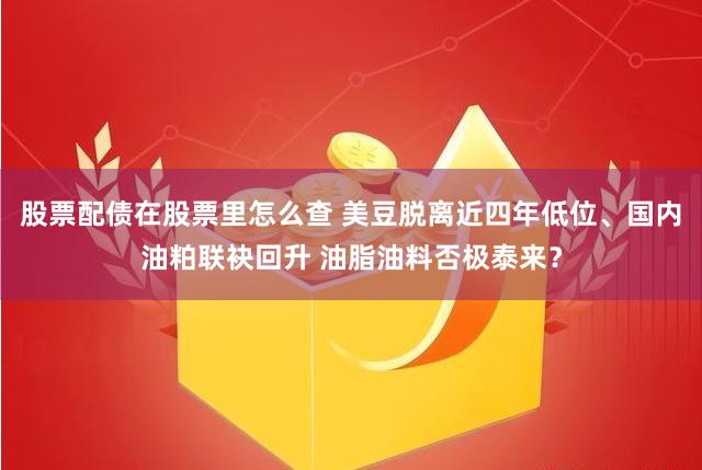 股票配债在股票里怎么查 美豆脱离近四年低位、国内油粕联袂回升 油脂油料否极泰来？